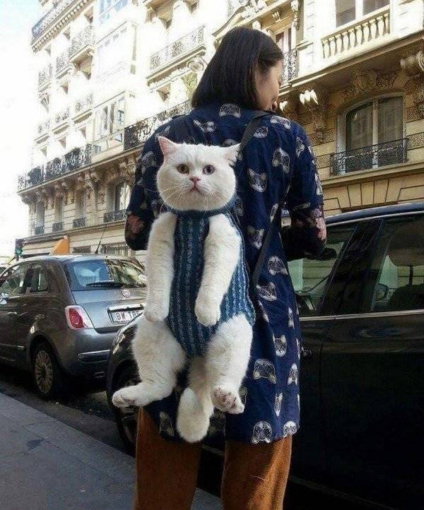 It Doesn't Seem Right (23 pics)