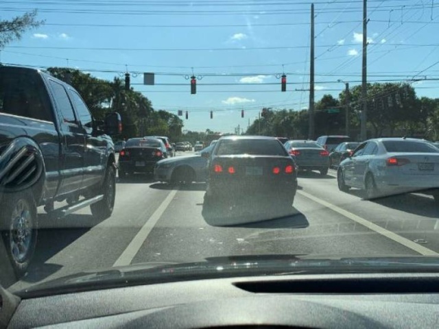 It's Not Very Smart (44 pics)