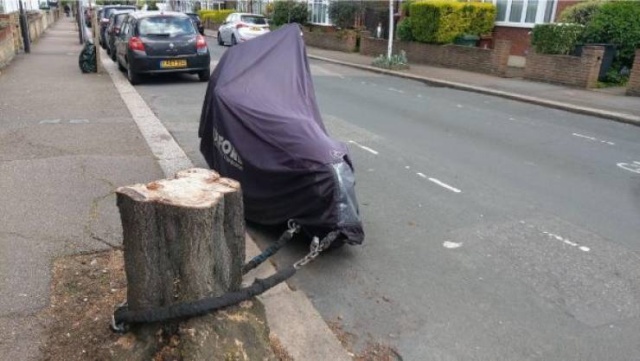 It's Not Very Smart (44 pics)