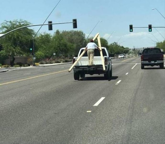 It's Not Very Smart (44 pics)