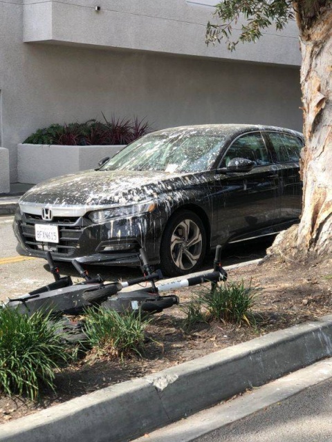 It's Not Very Smart (44 pics)