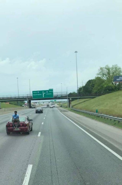It's Not Very Smart (44 pics)