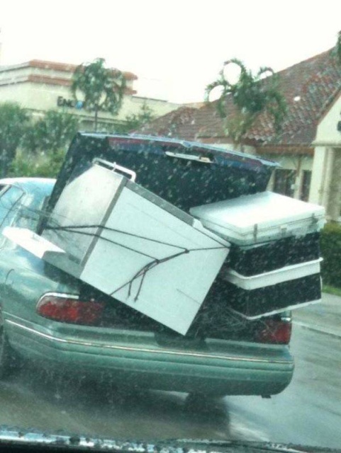 It's Not Very Smart (44 pics)