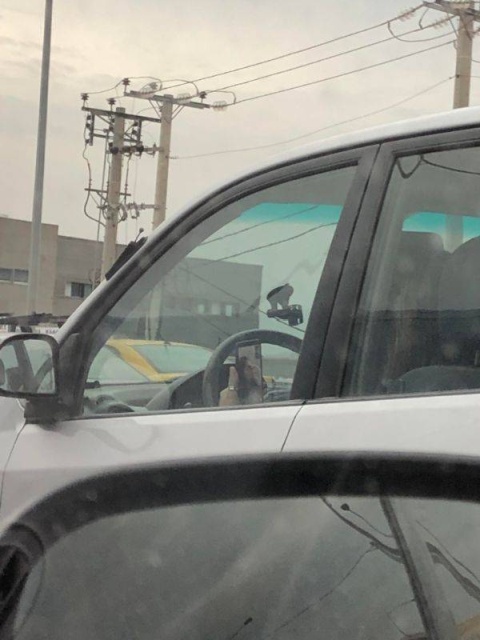 It's Not Very Smart (44 pics)