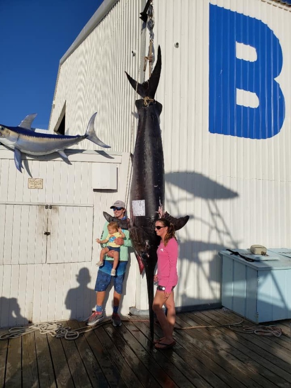 Giant Swordfish (13 pics)