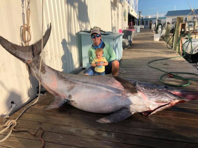 Giant Swordfish (13 pics)