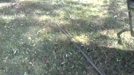 Acid Gifdump, May 6 (25 gifs)