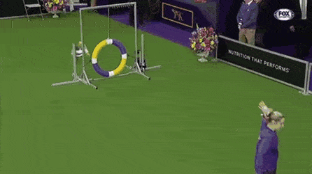 Acid Gifdump, May 6 (25 gifs)