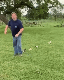 Acid Gifdump, May 6 (25 gifs)