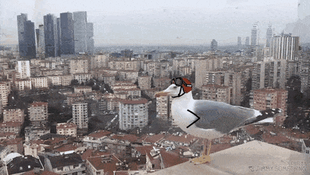 Acid Gifdump, May 6 (25 gifs)