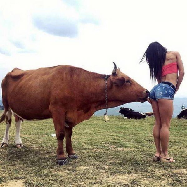 Girls Have Fun (25 pics)