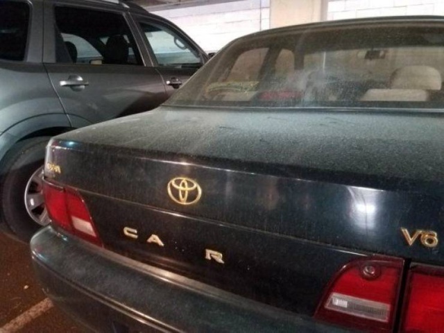 Creative Vandalism (33 pics)