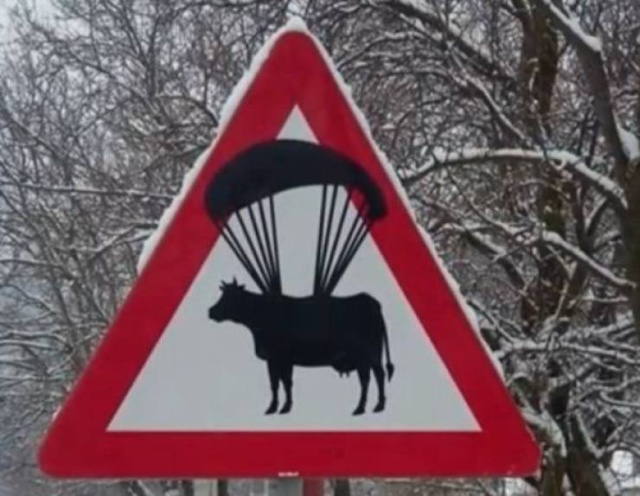Creative Vandalism (33 pics)