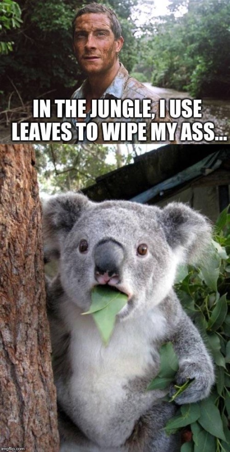 Acid Picdump (70 pics)