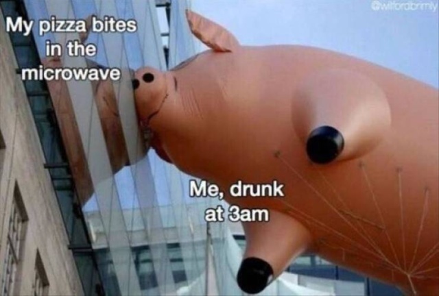 Memes About Being Drunk (47 pics)