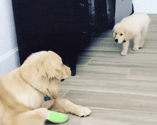 You Are Not That Tough After All (18 gifs)