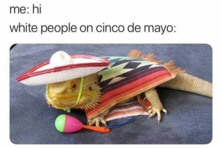 Cinco De Mayo Memes And Taco Dreams (22 pics)