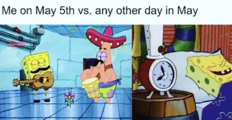 Cinco De Mayo Memes And Taco Dreams (22 pics)