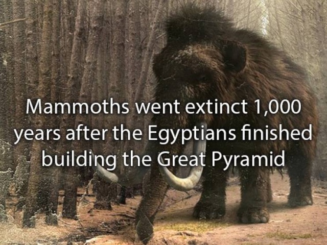 Amazing Facts (22 pics)