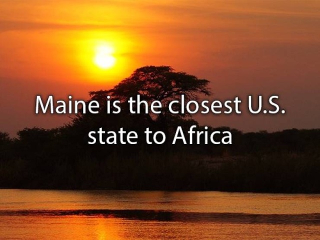 Amazing Facts (22 pics)
