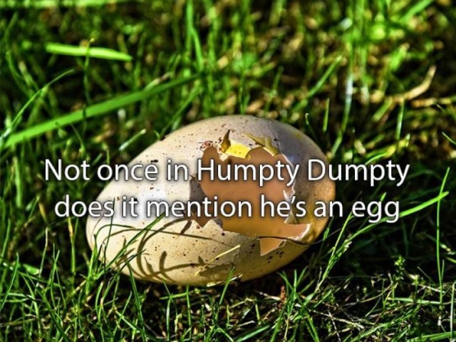 Amazing Facts (22 pics)