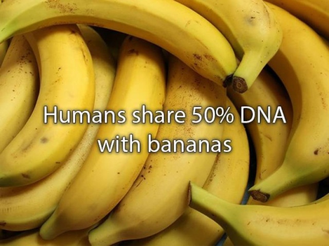 Amazing Facts (22 pics)