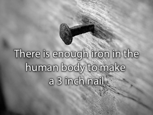 Amazing Facts (22 pics)