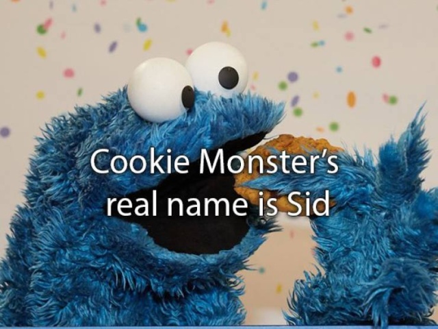 Amazing Facts (22 pics)