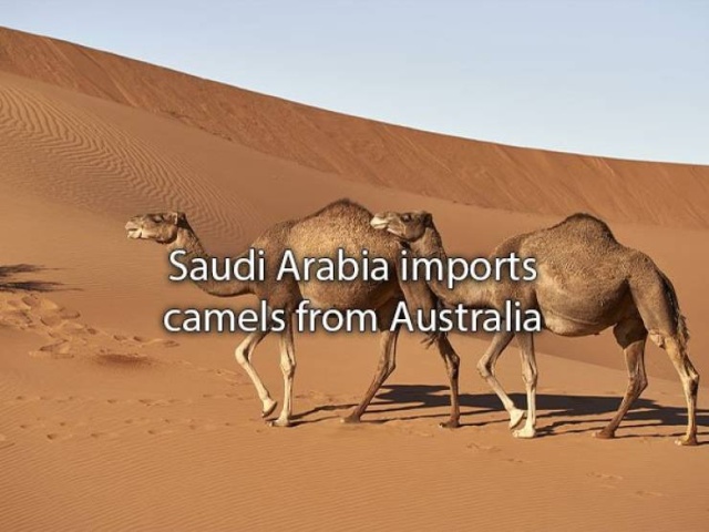 Amazing Facts (22 pics)