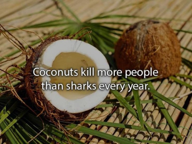 Amazing Facts (22 pics)