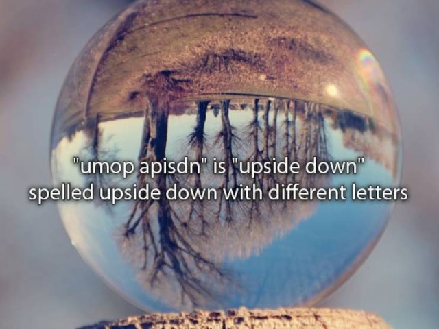 Amazing Facts (22 pics)