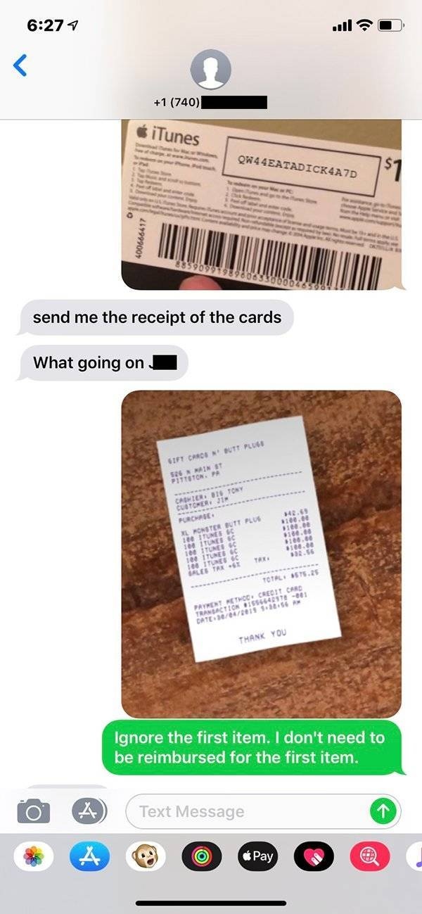 Scammer Gets Trolled. And It's Very Funny (6 pics)