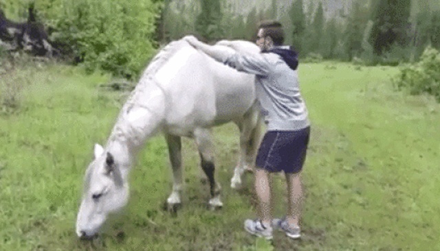 That Will Hurt A Lot (27 gifs)