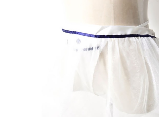 See-Through Japanese Schoolgirl Lingerie (9 pics)