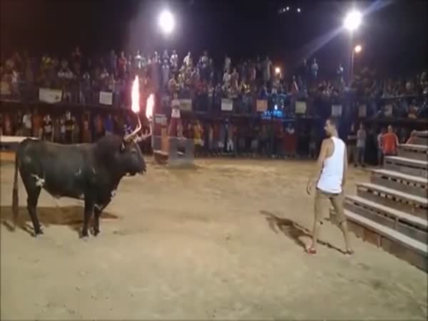 Challenging The Bull, What Could Go Wrong?