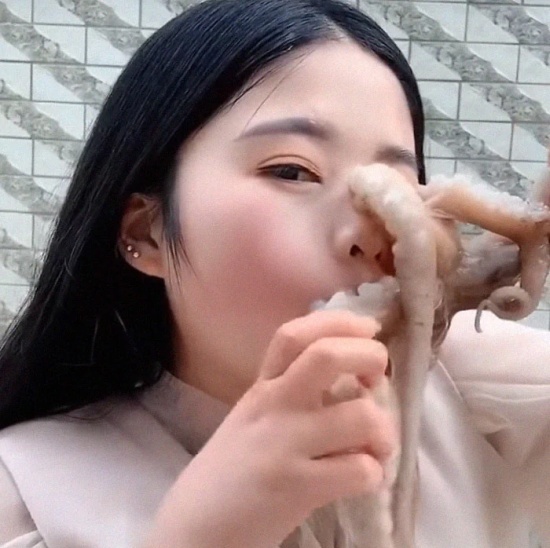 Never Mess With An Octopus (7 pics + video)