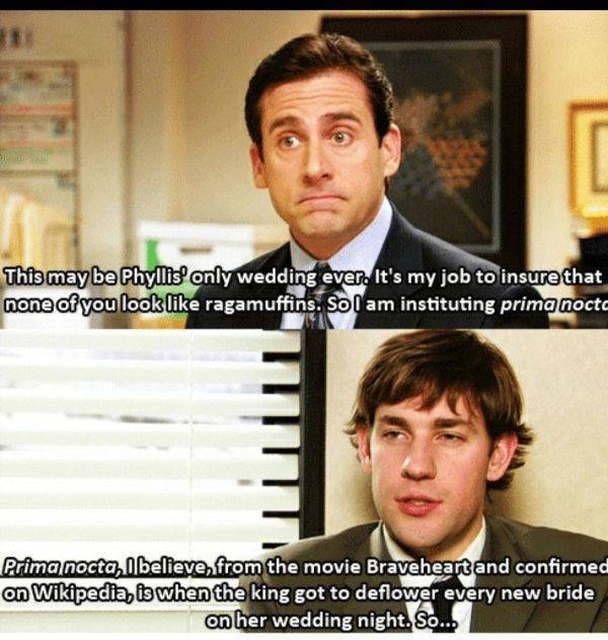 “The Office” Memes (28 pics)