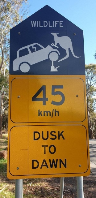 Only In Australia (38 pics)