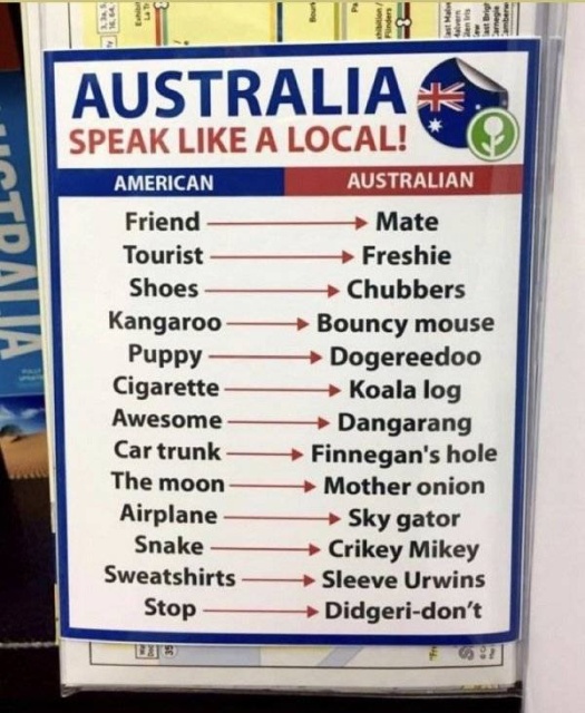 Only In Australia (38 pics)