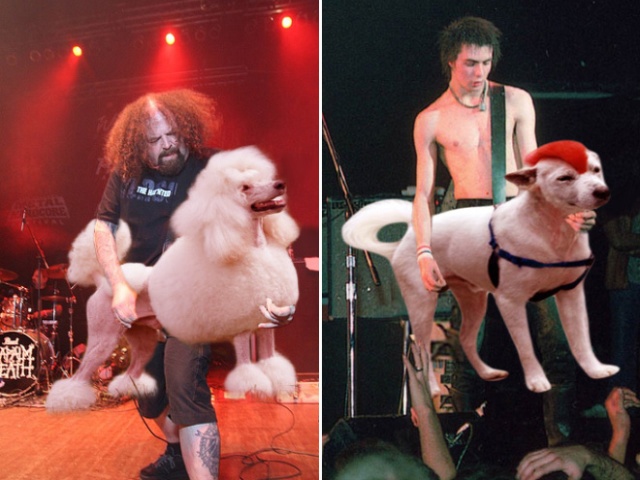 Guitars Replaced With Dogs (20 pics)