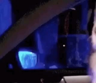 Dogs GIFs (12 gifs)