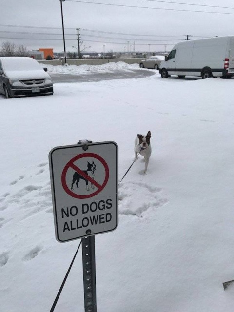 Breaking The Rules (38 pics)