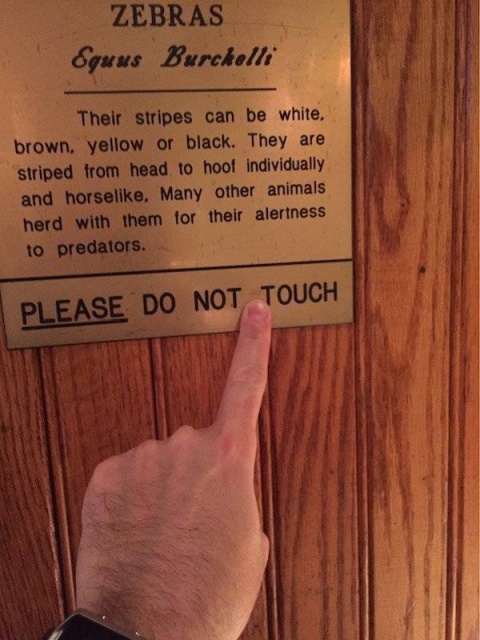 Breaking The Rules (38 pics)