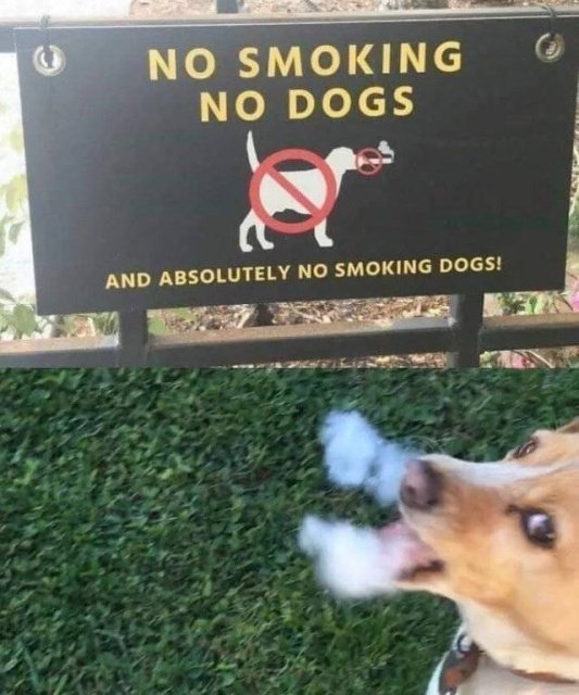 Breaking The Rules (38 pics)