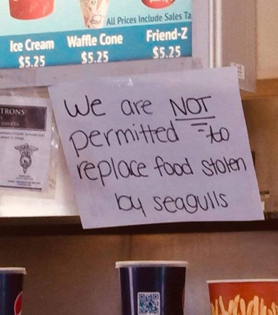 Strange And Funny Management Notices (21 pics)