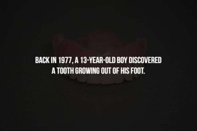 Scary Facts (17 pics)