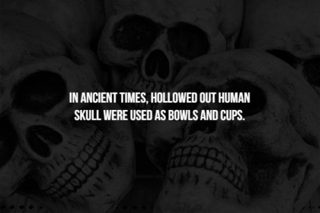 Scary Facts (17 pics)