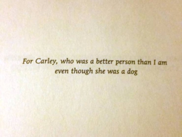 Every Good Book Needs A Good Dedication (16 pics)