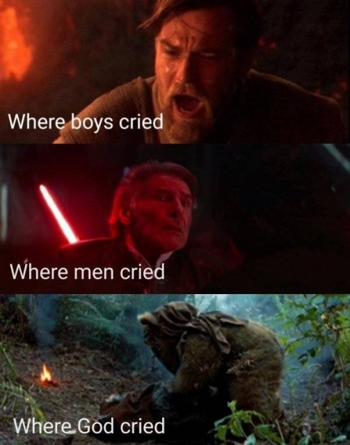 Star Wars Memes (31 pics)
