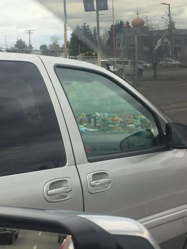 It's So Wrong (28 pics)